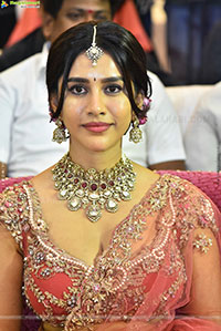 Nabha Natesh at Nagabandham Pre Release Press Meet