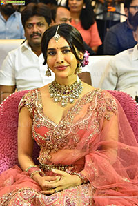 Nabha Natesh at Nagabandham Pre Release Press Meet
