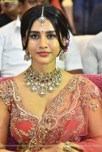Nabha Natesh at Nagabandham Pre Release Press Meet