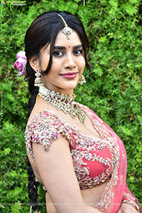 Nabha Natesh at Nagabandham Pre Release Press Meet
