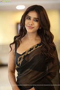 Nabha Natesh at Nagabandham Movie Success Meet