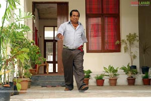 CM YS Rajasekhar Reddy-Brahmanandam Film
