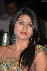 Sradha Das at Sidhu From Seekakulam Audio Release