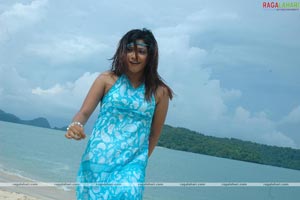 Gayatri Photo Gallery