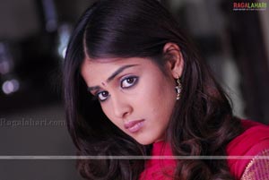 Genelia Photo Gallery