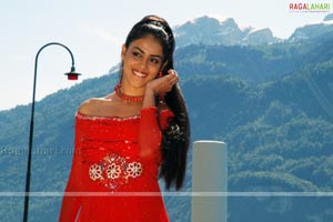 Genelia Photo Gallery