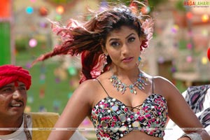 Kausha Photo Gallery