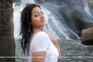 Keerthi Chawla Spicy Gallery