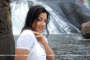 Keerthi Chawla Spicy Gallery