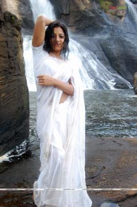 Keerthi Chawla Spicy Gallery