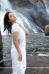 Keerthi Chawla Spicy Gallery