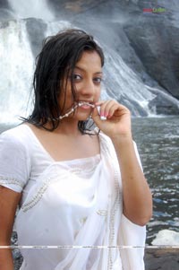 Keerthi Chawla Spicy Gallery