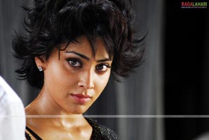 Shriya Photo Gallery