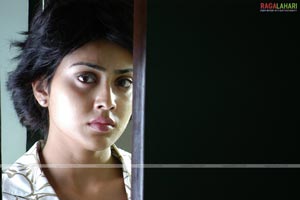 Shriya Photo Gallery