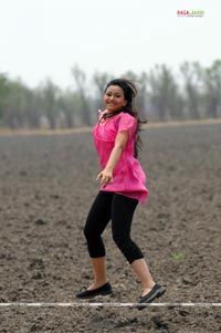 Swetha Basu Prasad Photo Gallery from Ride