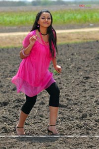 Swetha Basu Prasad Photo Gallery from Ride