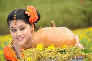 Tapasee Jhummandi Naadam Hot Photos