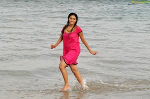 Poorna High Definition Wallpapers