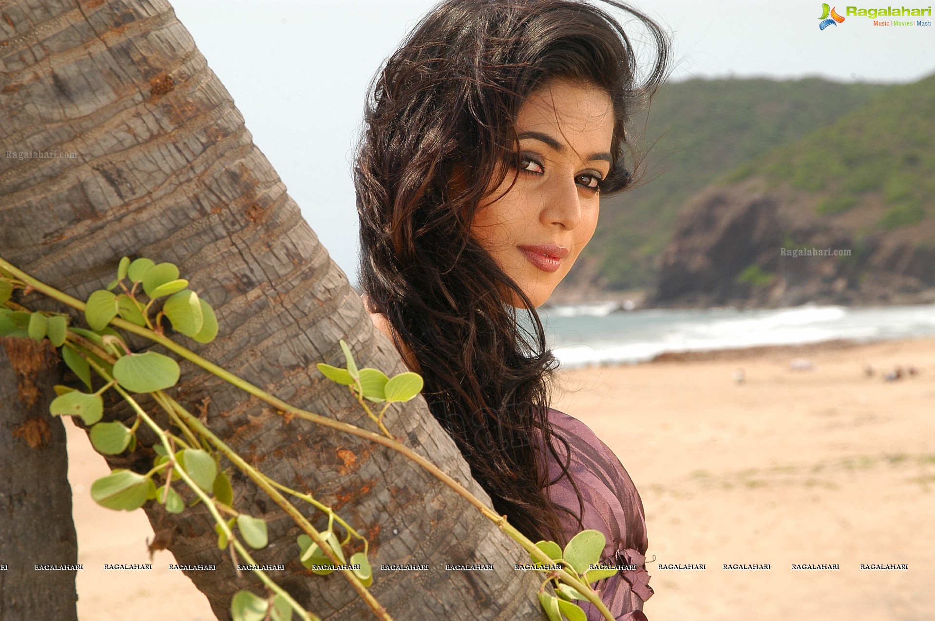 Poorna - HD Gallery