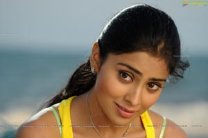 Hot Shriya in Pista - High Definition Photos