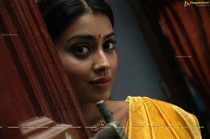 Hot Shriya in Pista - High Definition Photos