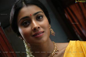 Hot Shriya in Pista - High Definition Photos