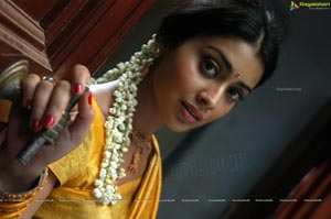 Hot Shriya in Pista - High Definition Photos