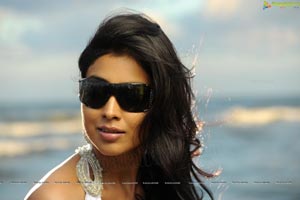 Hot Shriya in Pista - High Definition Photos