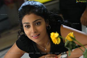 Hot Shriya in Pista - High Definition Photos