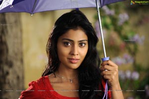 Hot Shriya in Pista - High Definition Photos