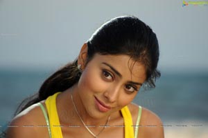 Hot Shriya in Pista - High Definition Photos