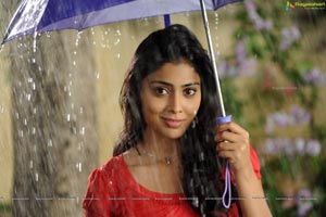 Hot Shriya in Pista - High Definition Photos