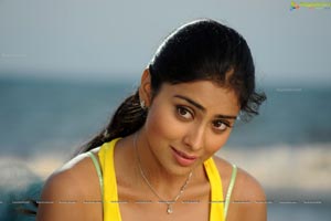 Hot Shriya in Pista - High Definition Photos