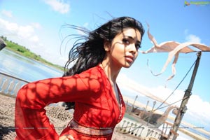 Hot Shriya in Pista - High Definition Photos