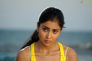 Hot Shriya in Pista - High Definition Photos