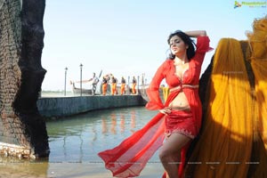 Hot Shriya in Pista - High Definition Photos