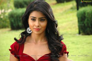 Hot Shriya in Pista - High Definition Photos