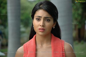 Hot Shriya in Pista - High Definition Photos