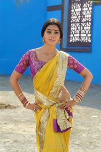 Hot Shriya in Pista - High Definition Photos