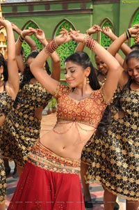 Hot Shriya in Pista - High Definition Photos