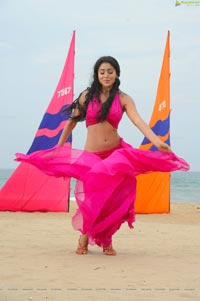 Hot Shriya in Pista - High Definition Photos