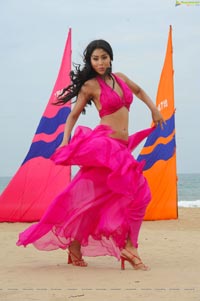 Hot Shriya in Pista - High Definition Photos