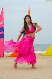 Hot Shriya in Pista - High Definition Photos