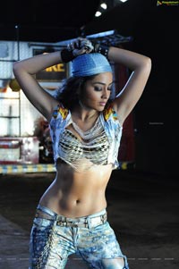 Hot Shriya in Pista - High Definition Photos