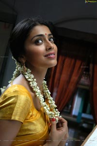 Hot Shriya in Pista - High Definition Photos