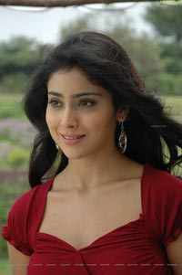 Hot Shriya in Pista - High Definition Photos