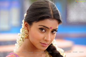 Hot Shriya in Pista - High Definition Photos