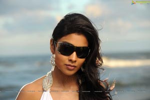 Hot Shriya in Pista - High Definition Photos