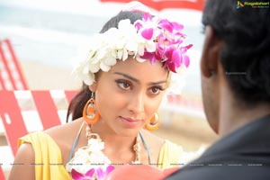 Hot Shriya in Pista - High Definition Photos