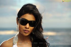 Hot Shriya in Pista - High Definition Photos